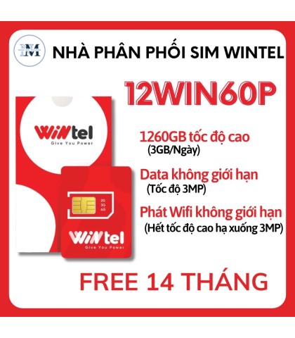 SIM WINTEL 12W60P