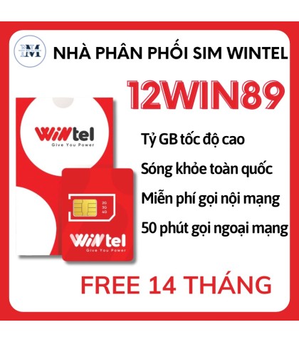 SIM WINTEL 12W89