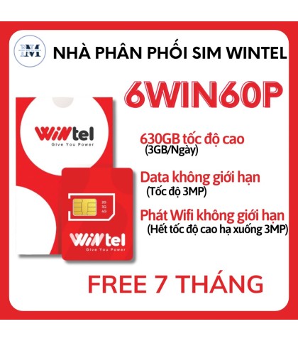 SIM WINTEL 6W60P