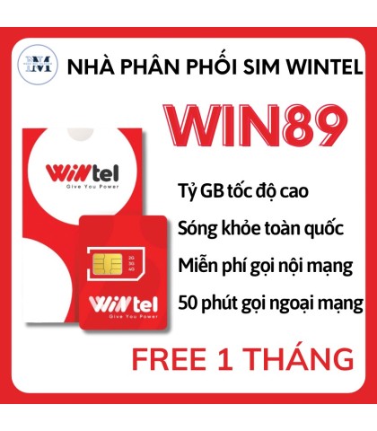 SIM WINTEL W89