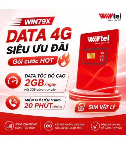 SIM WINTEL 79X SÓNG VINA
